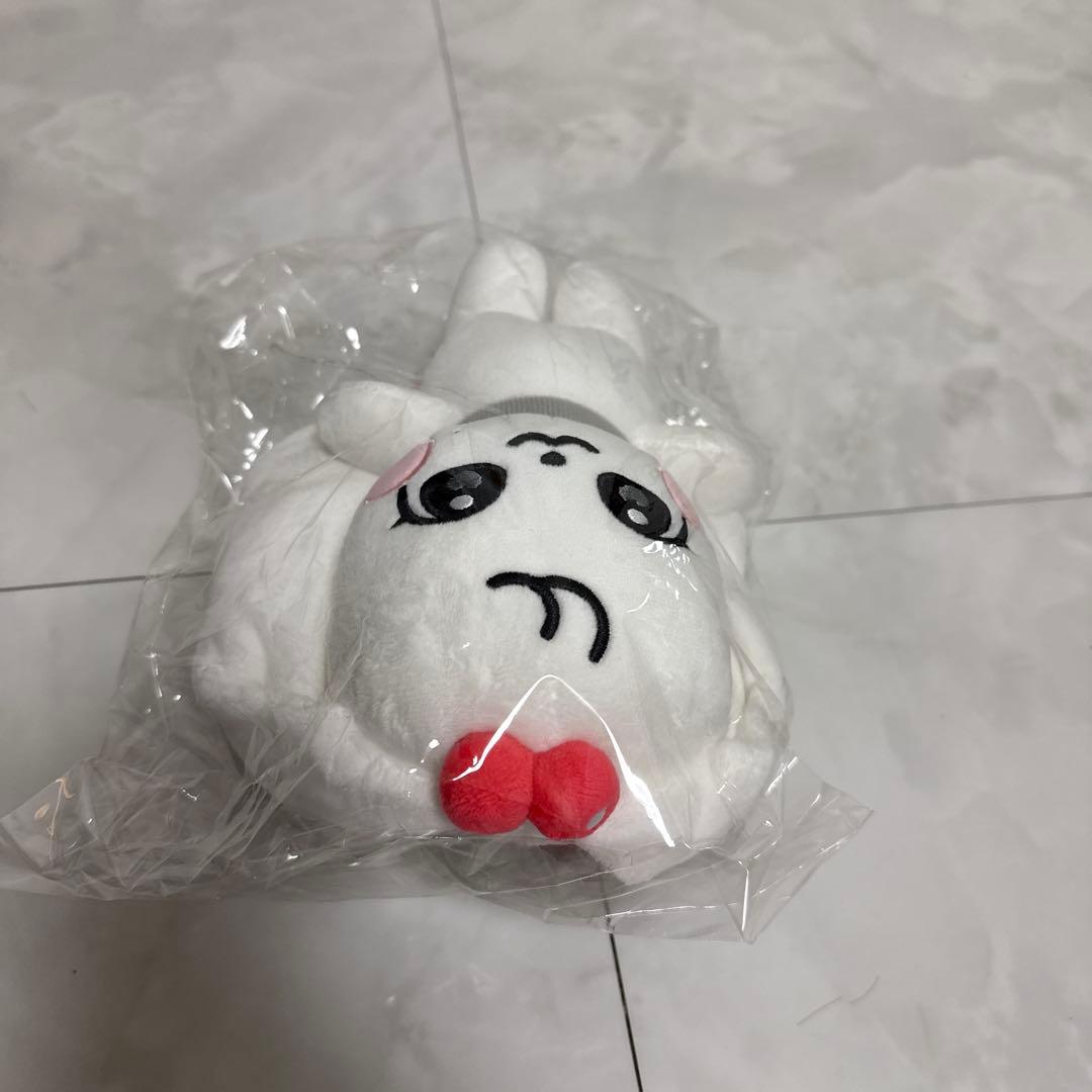 IVE MINIVE 20cm チェリー CHERRY ウォニョン