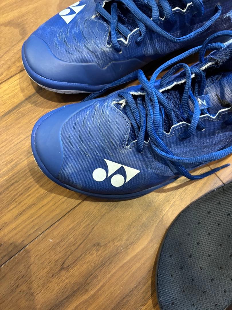 バドミントンシューズ　エアラス　25.0