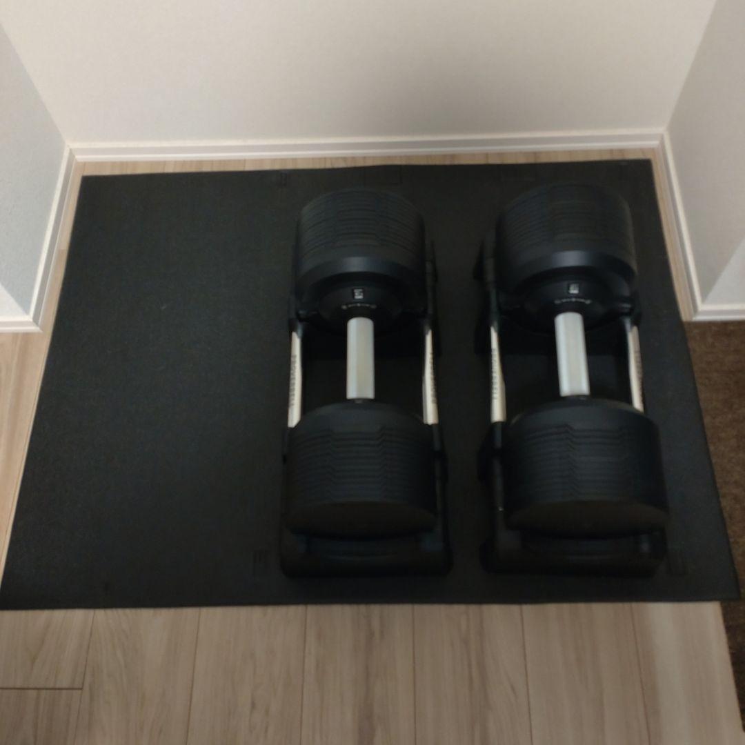 【引取限定】プロバーベル　可変式ダンベル　41.5kg、ベンチ、マットのセット