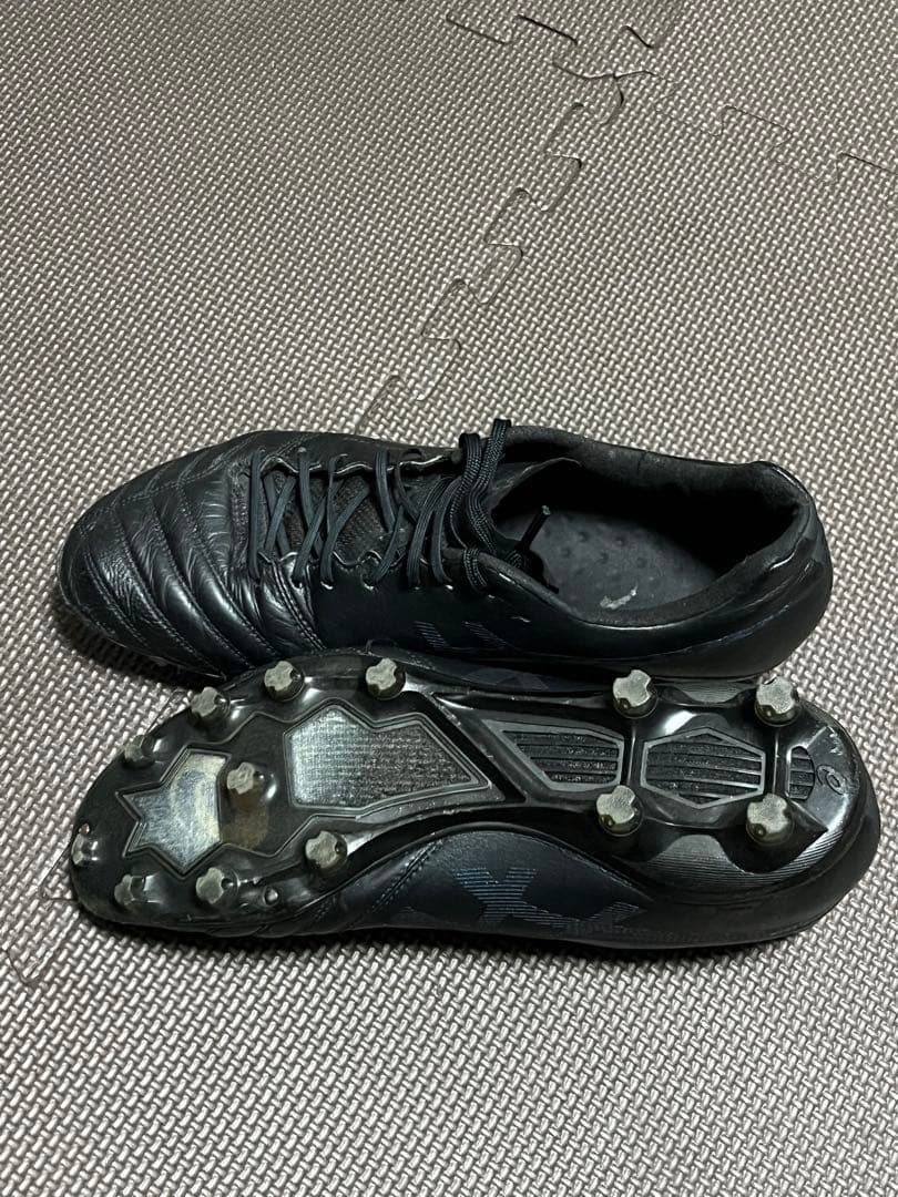 DS ライト X-FLY PRO 28.5cm
