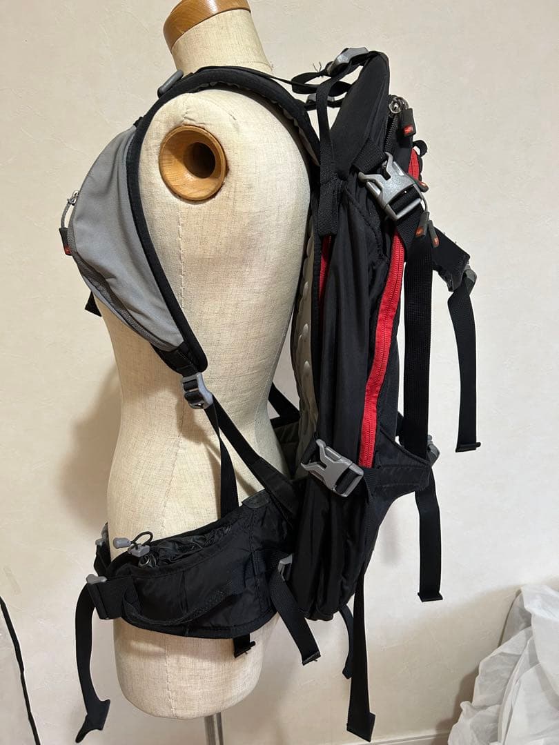THE NORTH FACE バックパック 黒/赤