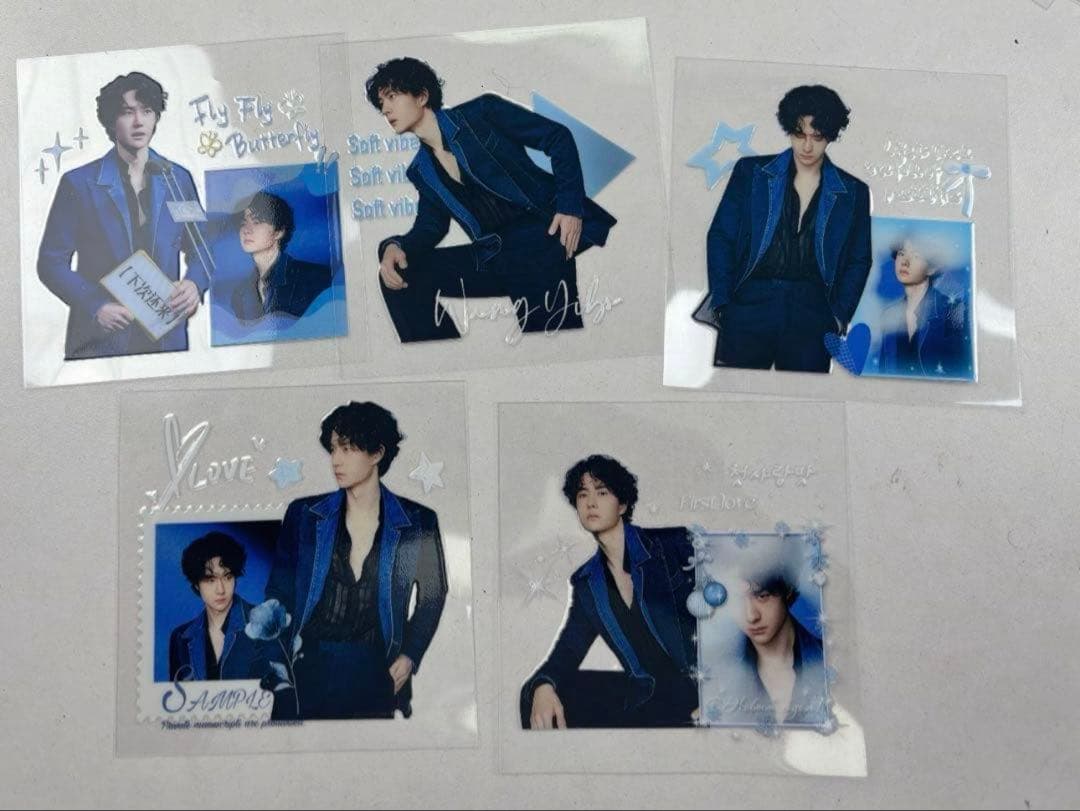 ワンイーボー　王一博 春節　Weibo night 転写ステッカー8セット