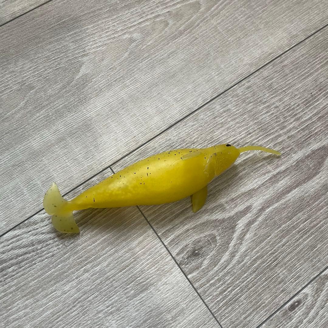 くじら＆Co. ビッグ　セット