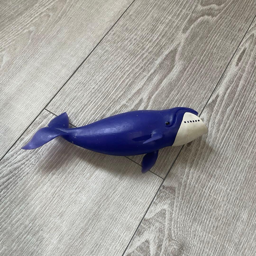 くじら＆Co. ビッグ　セット