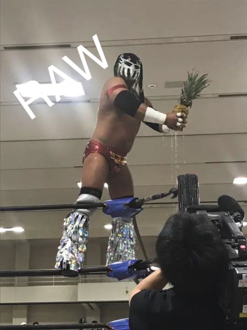 プロレス ドラゴンゲート マスク 吉田 隆司 サイバー コング 実物 本物
