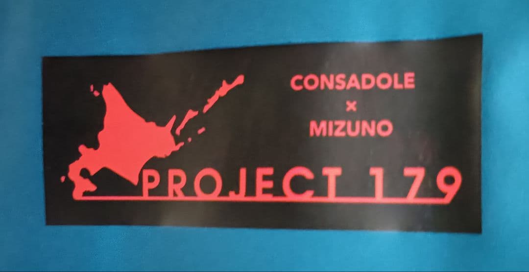 北海道コンサドーレ札幌 練習着 ウォーマーシャツ 2024 Lサイズ