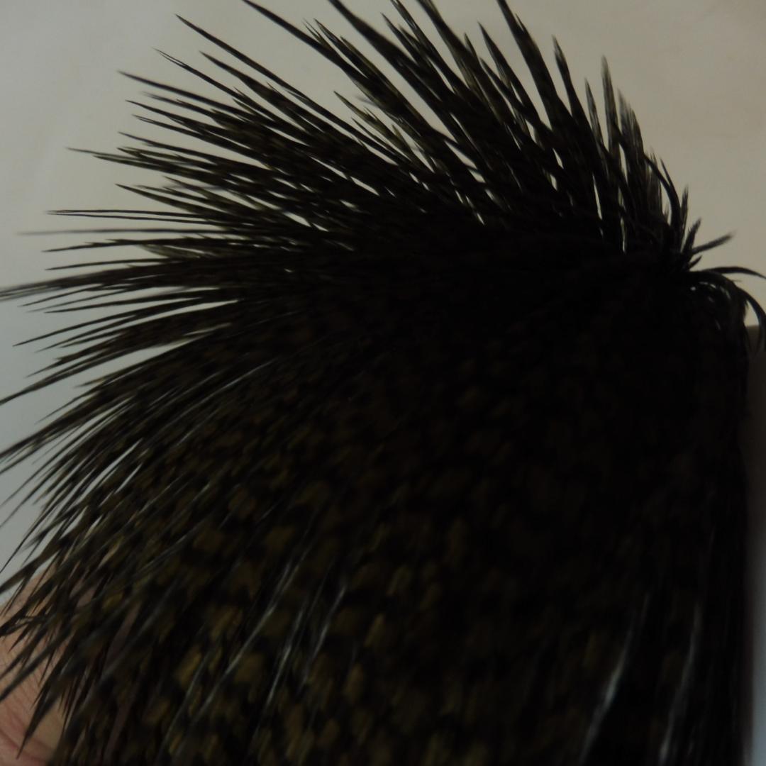 コックハックル ケープ Grizzly dyed Olive