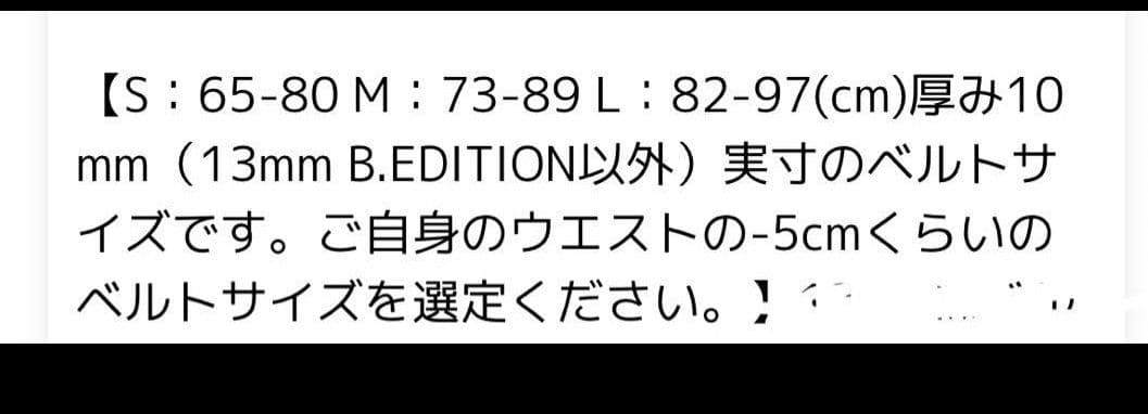 RISE パワーベルト