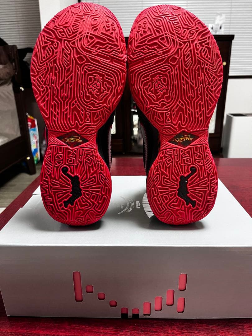 シューズ(男性用) LEBRON XX EP 26.5cm