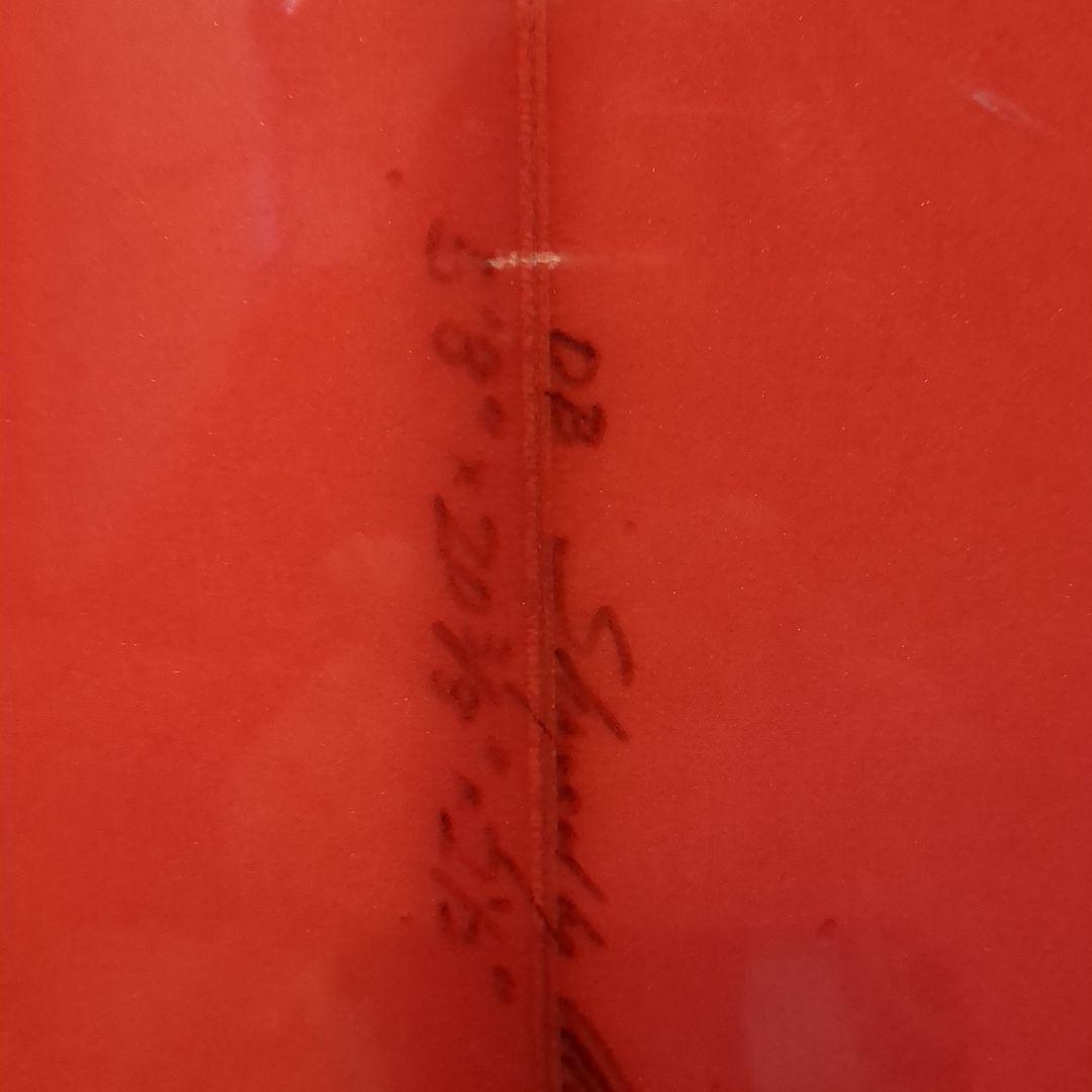5'8 Double Wing Fish　DoubleBubble