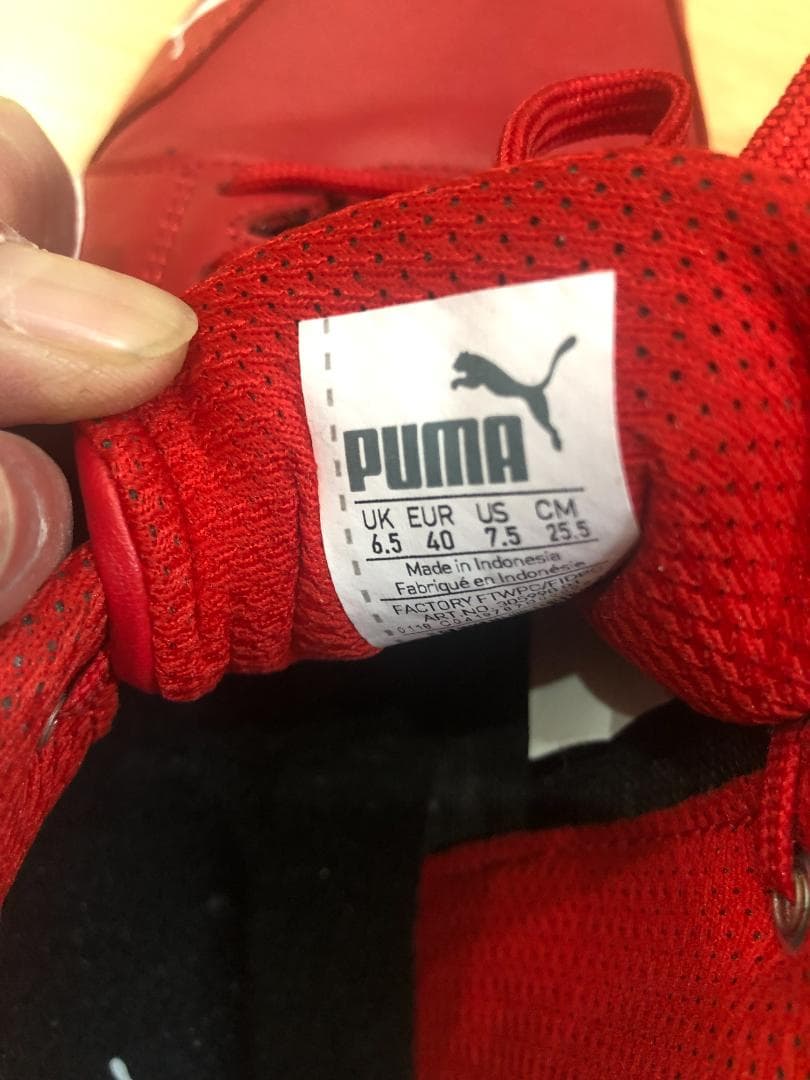 PUMA×フェラーリ メンズシューズ 25.5cm 未使用美品