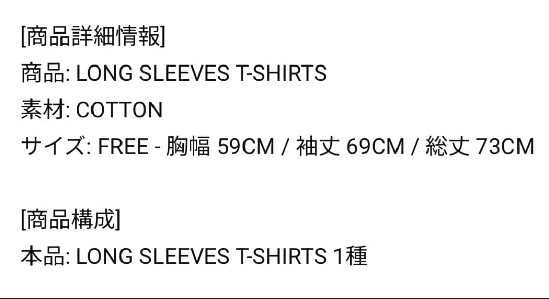 公式 straykids スキズ ロングTシャツ 5-STAR 未開封