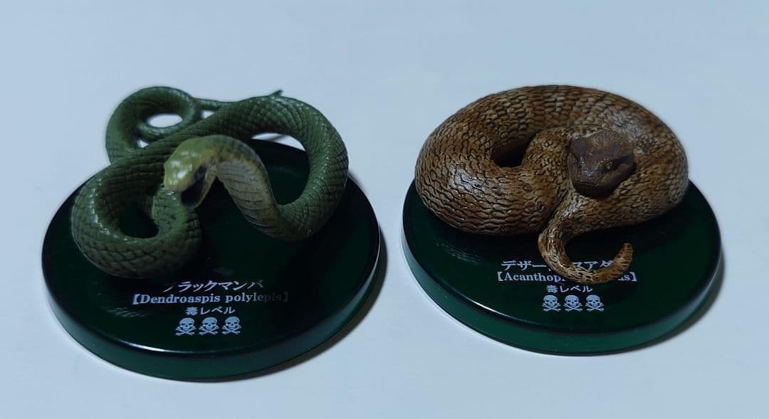 【希少】タカラトミーアーツ　不思議生物大百科　毒牙の暗殺者　7種　フルコンプ