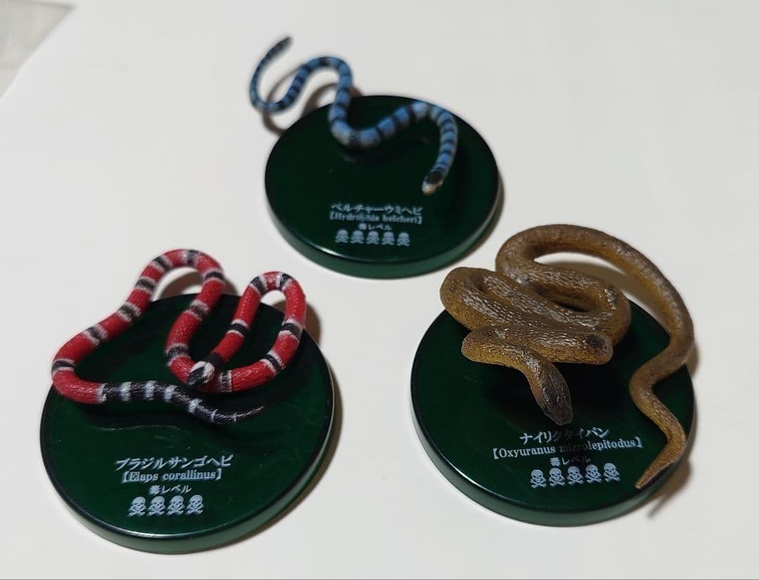 【希少】タカラトミーアーツ　不思議生物大百科　毒牙の暗殺者　7種　フルコンプ
