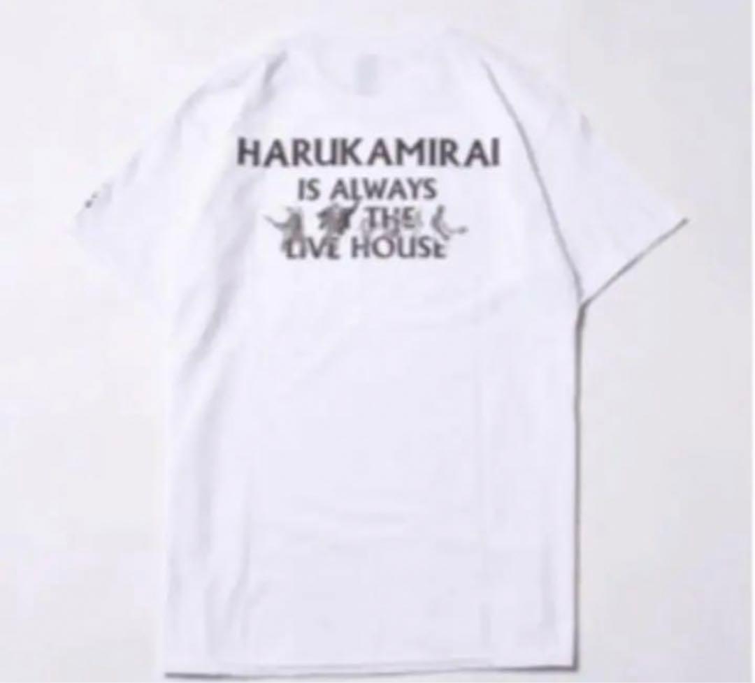 ハルカミライ　Tシャツ