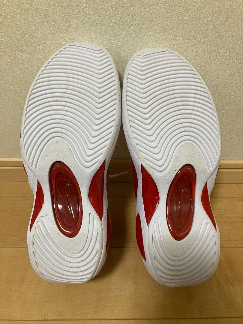 シューズ(男性用) Nike Air Zoom Flight 95 \"True Red\"