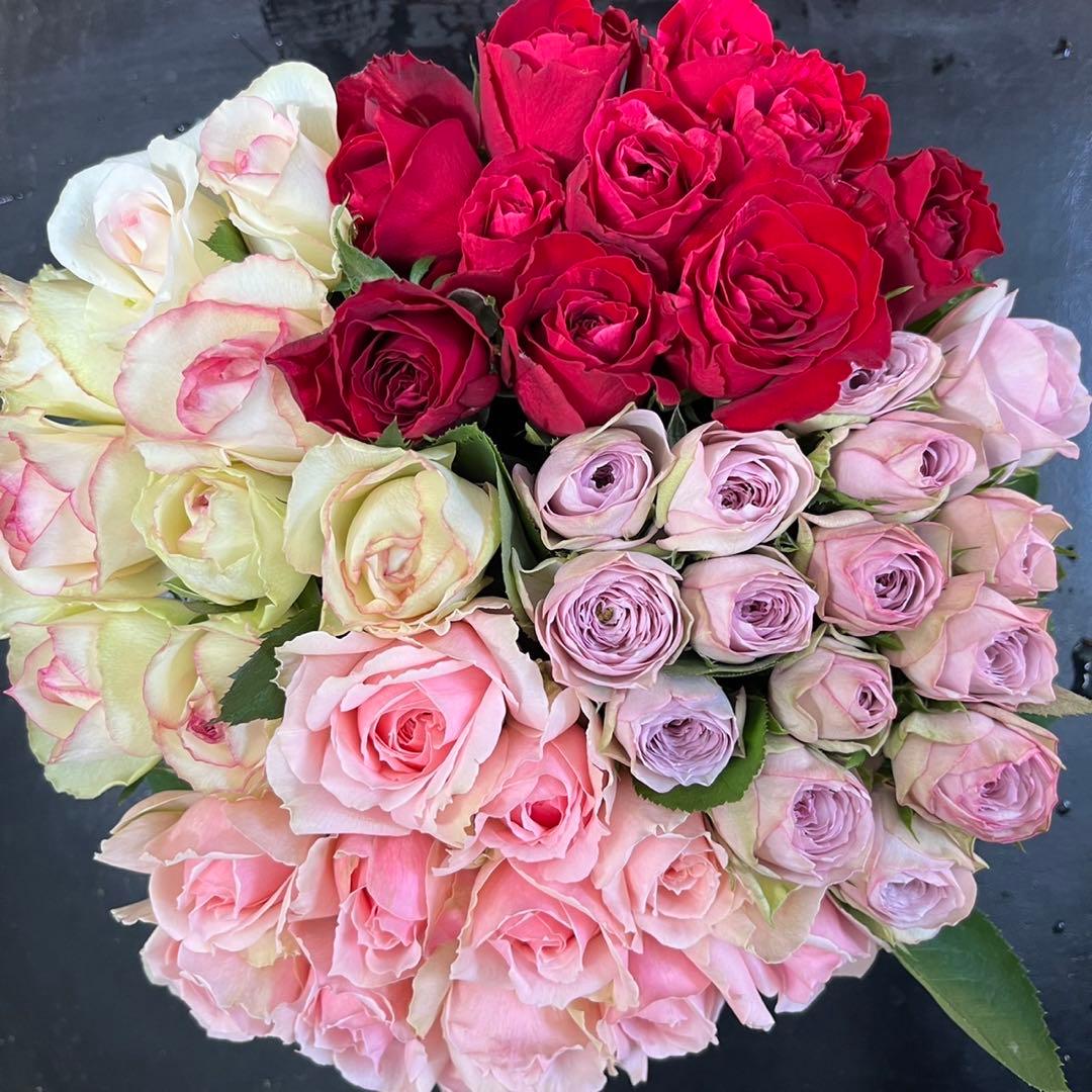 鮮度抜群‼️ 《切り花 ・生花 》おまかせミックス 30㎝SMサイズ！40本 薔薇