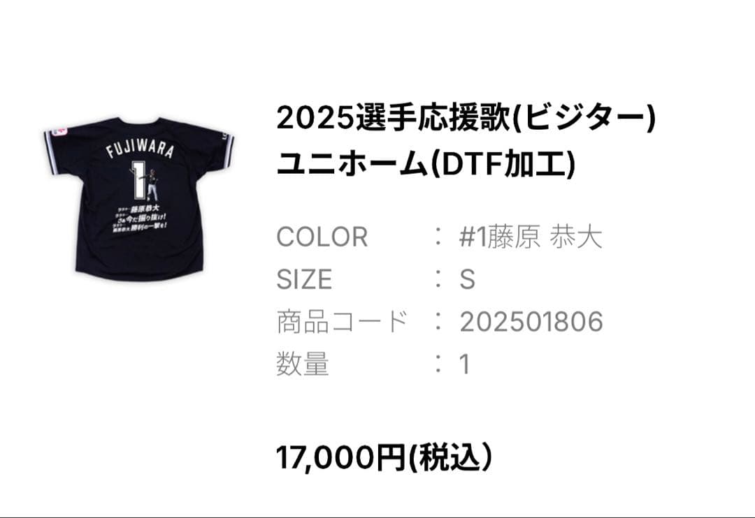 千葉ロッテマリーンズ　2025選手応援歌（ビジター）ユニホーム（DTF）藤原恭大