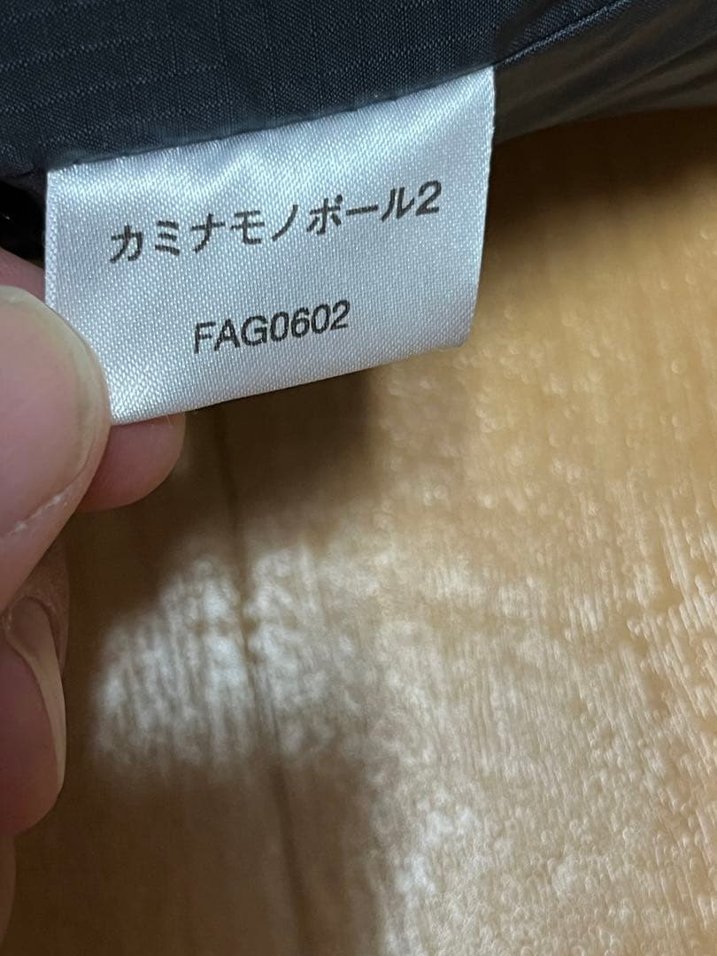 カミナモノポール2