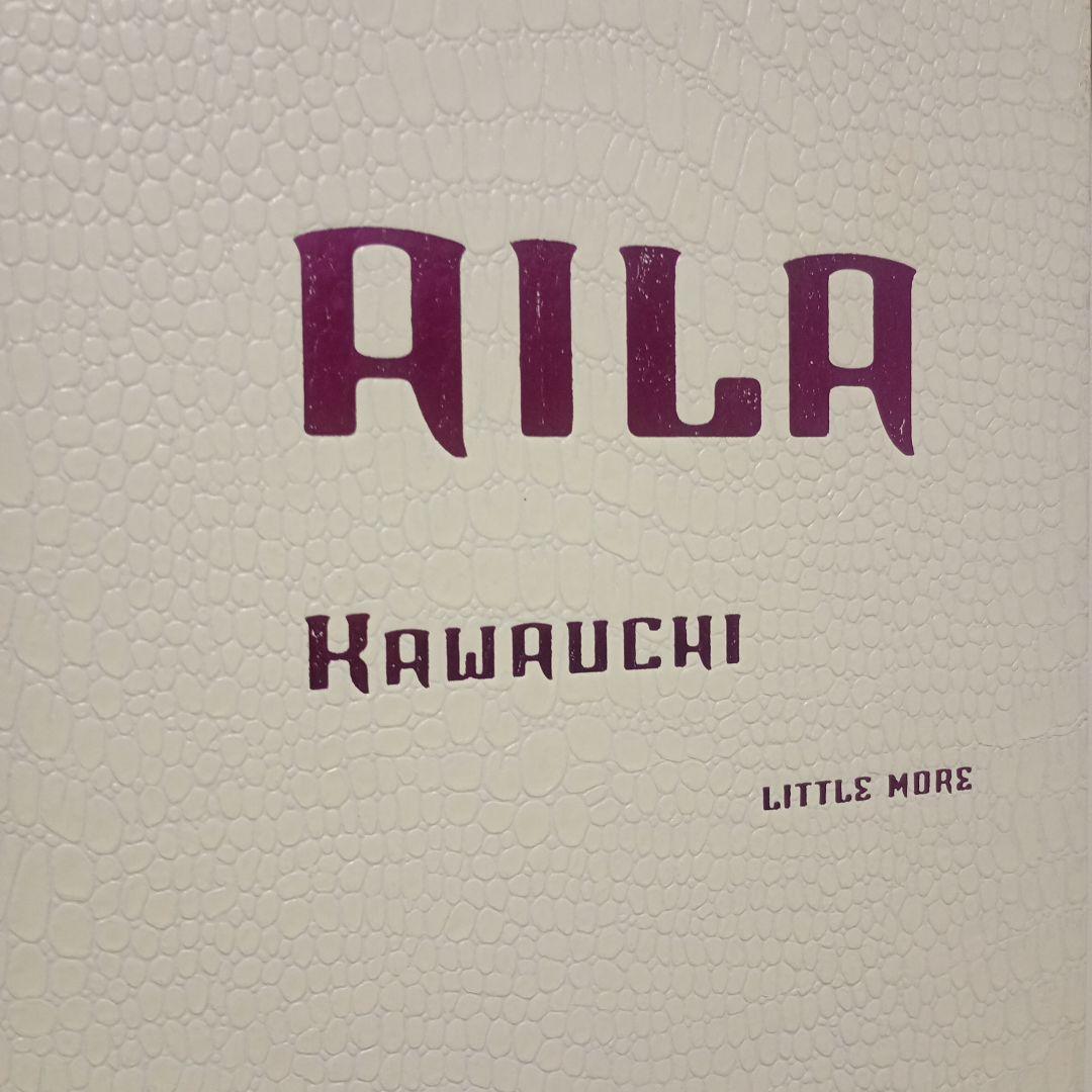 AILA アイーラ　川内倫子 Little More