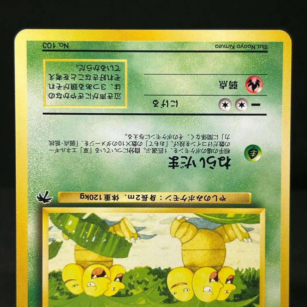 【3枚セット】サザンアイランド トロピカルアイランド 海辺 旧裏 ヤドキング他