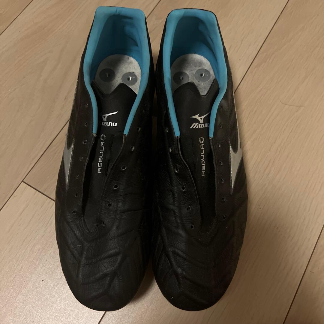 レビュラスパイク特注品