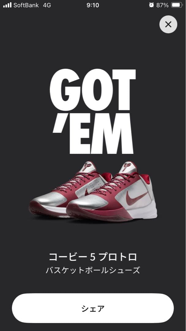 Kobe V Protro バスケットボールシューズ 9