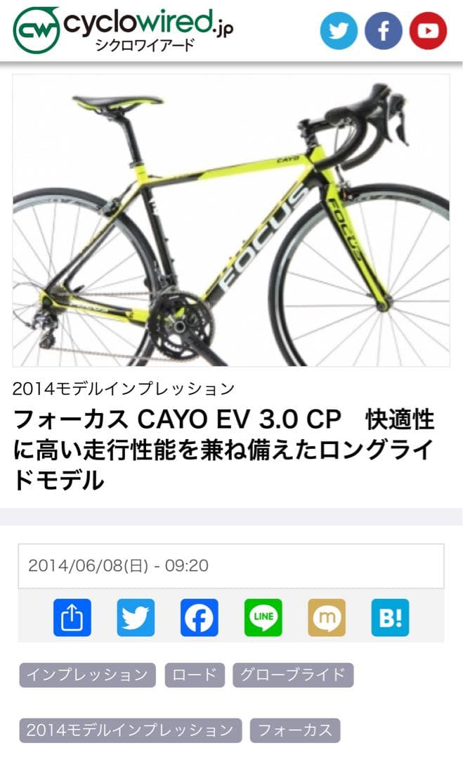 送料込み　FOCUS CAYO EV 3.0 CP ロードバイク　フレームのみ