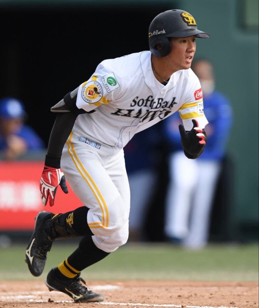 ソフトバンクホークス　勝連大稀 #130　バット NPBマーク 支給品　実使用