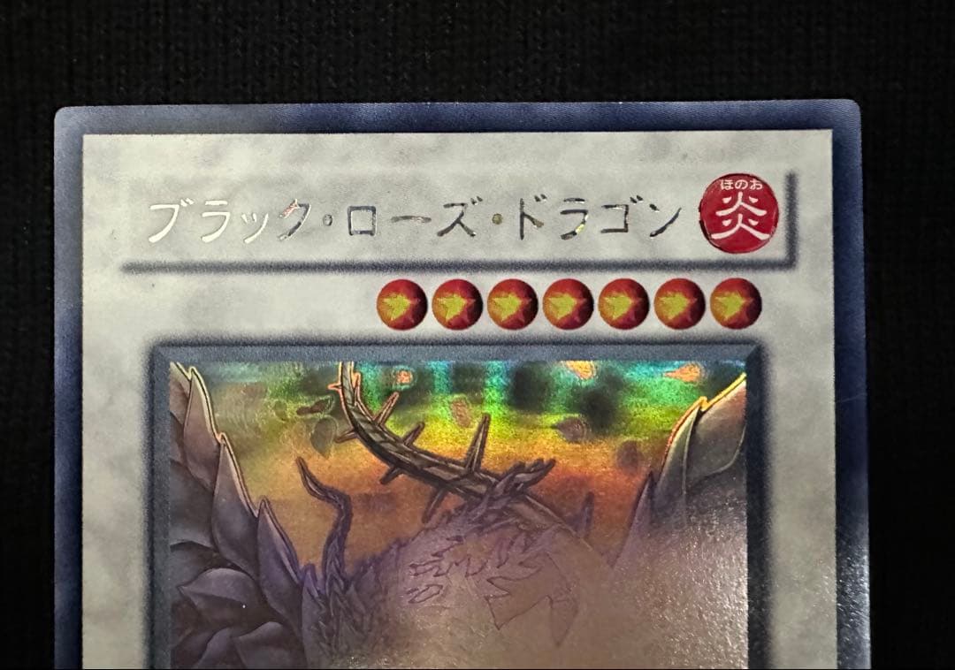 ブラック・ローズ・ドラゴン ホロ　美品