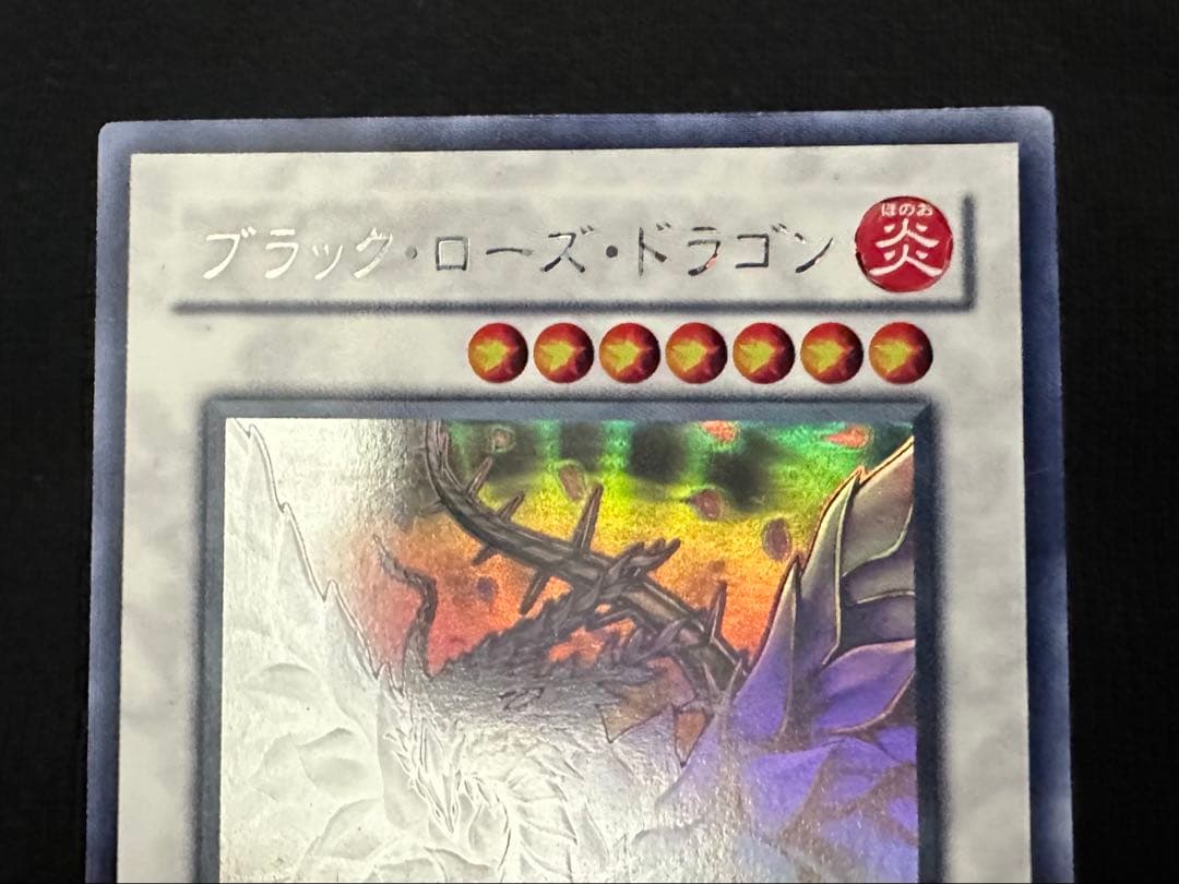 ブラック・ローズ・ドラゴン ホロ　美品