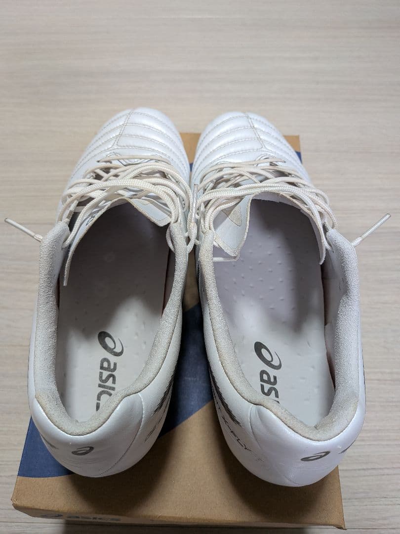 ASICS DS LIGHT X-FlY PRO2 ST 26cm(SGソール)