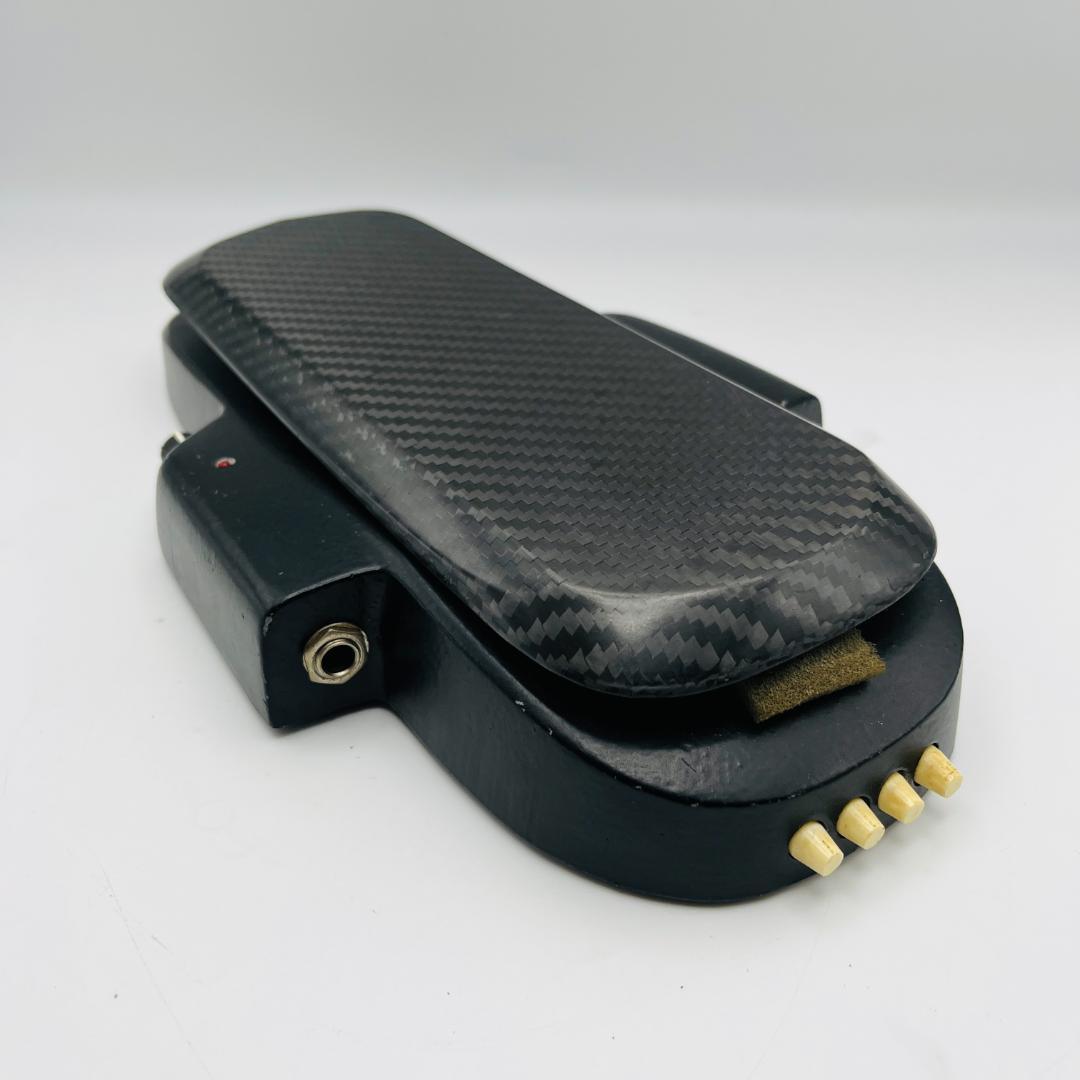 ギター Roger Mayer Vision Wah Handbuilt in UK