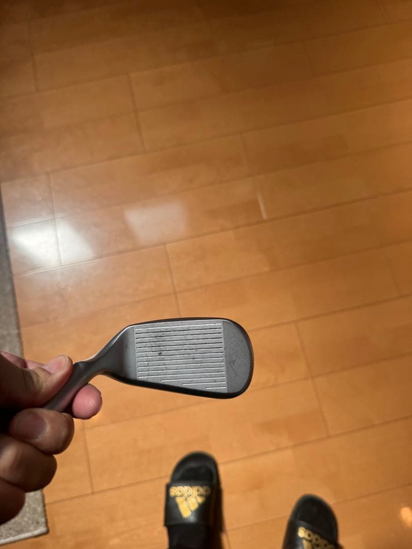 チッパーDolphin Flying Wedge 225 55度