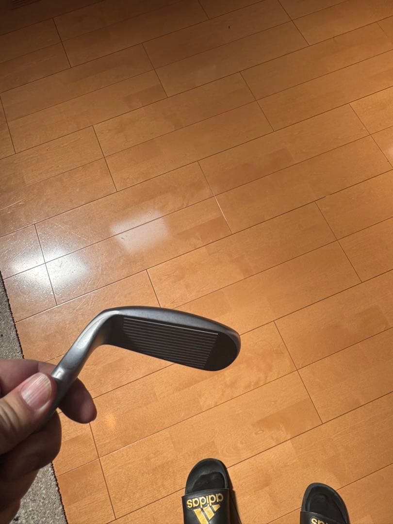 チッパーDolphin Flying Wedge 225 55度