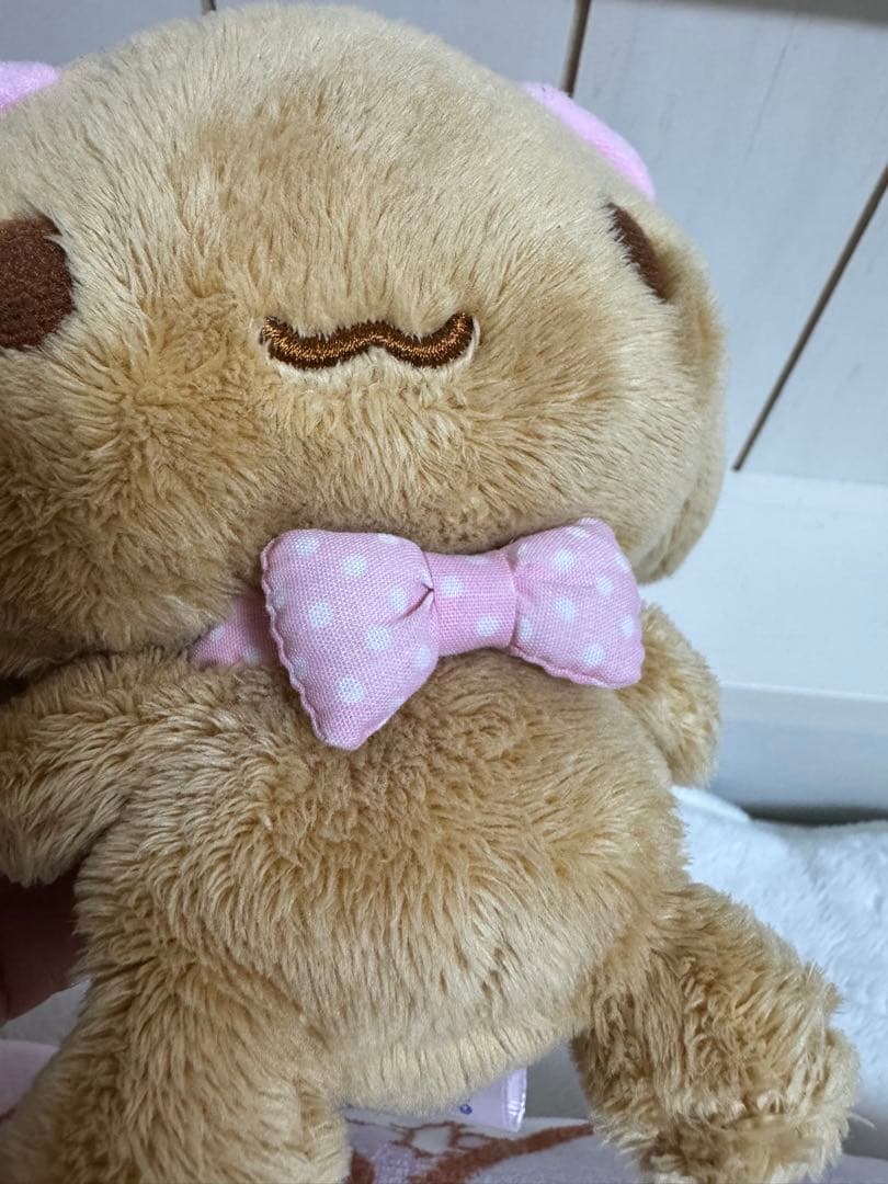 サンリオ　激レア　シナモン　モカぬいぐるみ １０周年つれてってぬいぐるみ