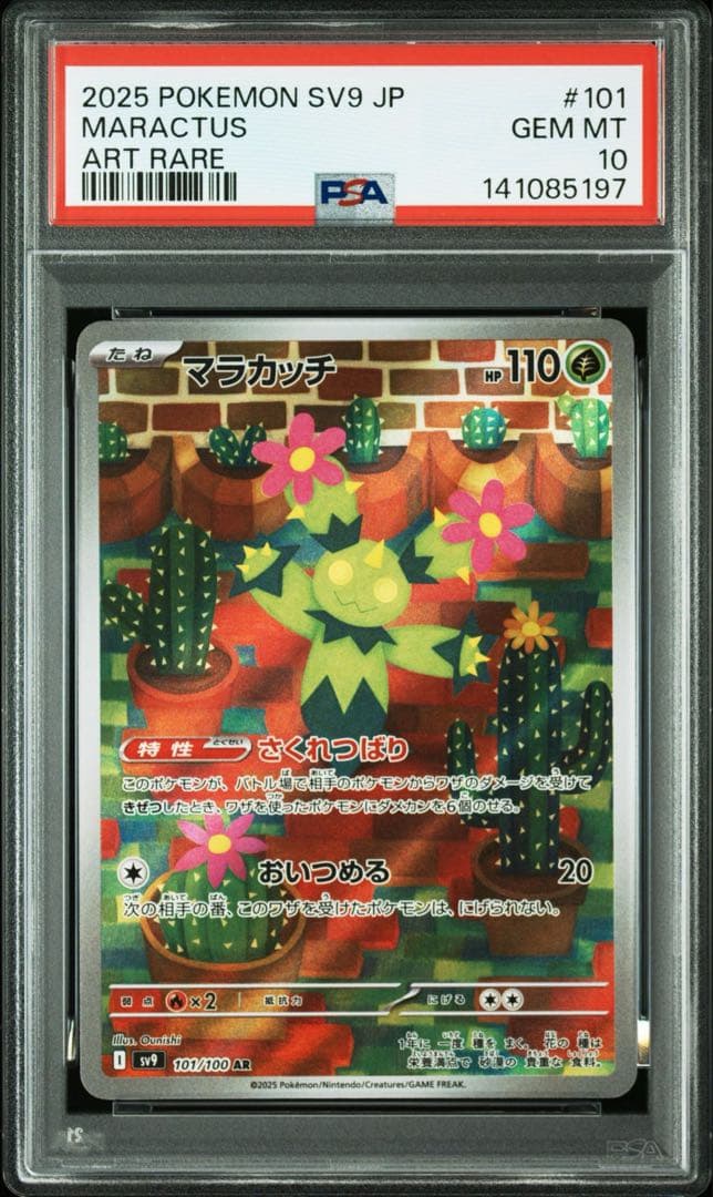ポケモンカード マラカッチ AR PSA10 2連番