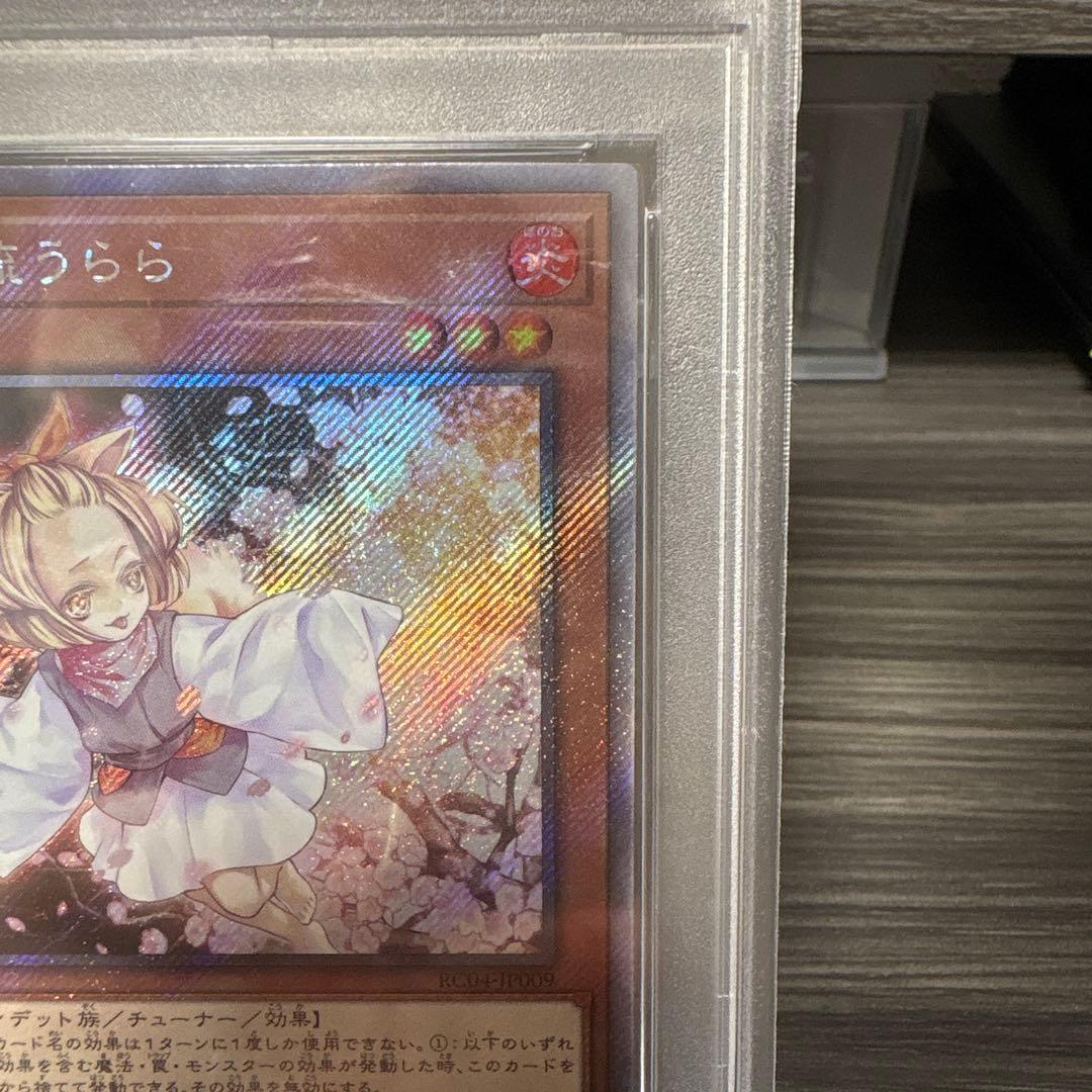 灰流うらら PSA10 遊戯王