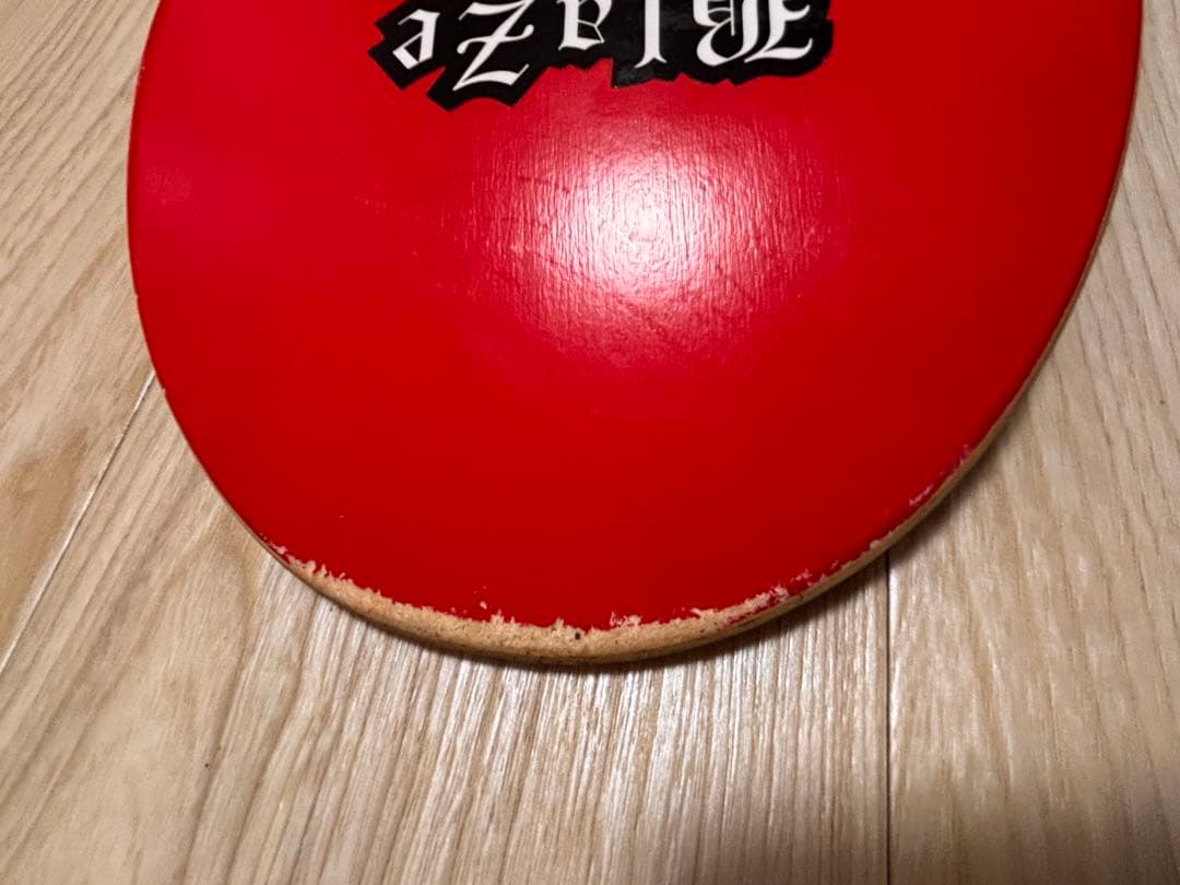 ☆気まぐれセール☆PLUG スケートボード　ケース付