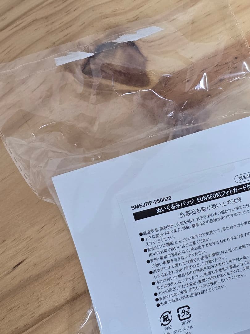 RIIZE ぬいぐるみバッジ ウンソク ソンヨンドリ トレカ付き