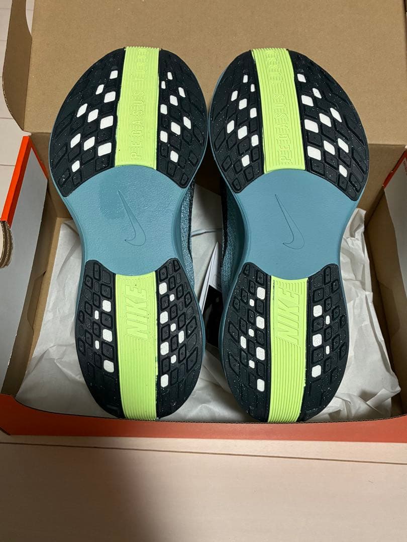 S*o様 Nike Pegasus Plus 27.0cm
