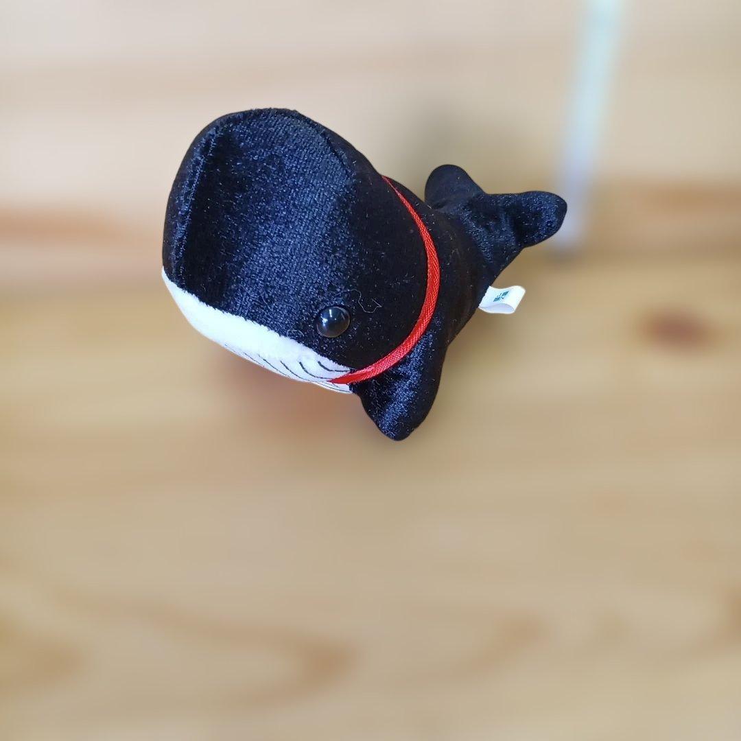宝くじ くじら＋他 ぬいぐるみ キャラクター 企業もの　　5体セット