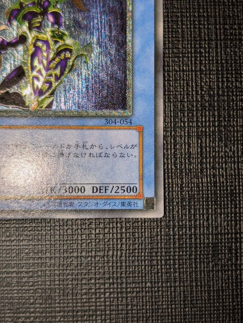 遊戯王 カオスソルジャー レリーフ