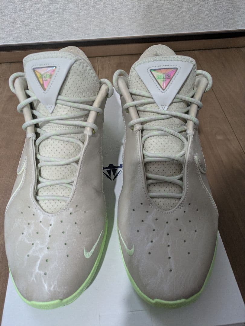 シューズ(男性用) Nike LEBRON 22 EP