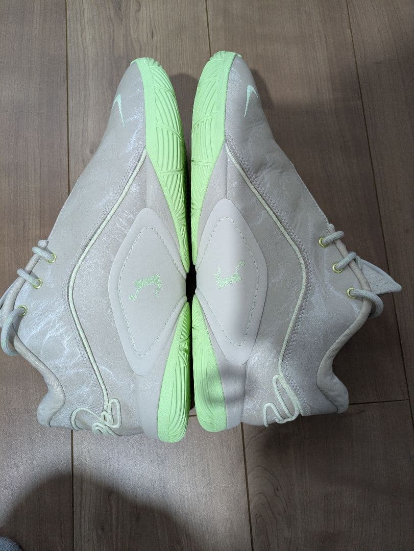 シューズ(男性用) Nike LEBRON 22 EP