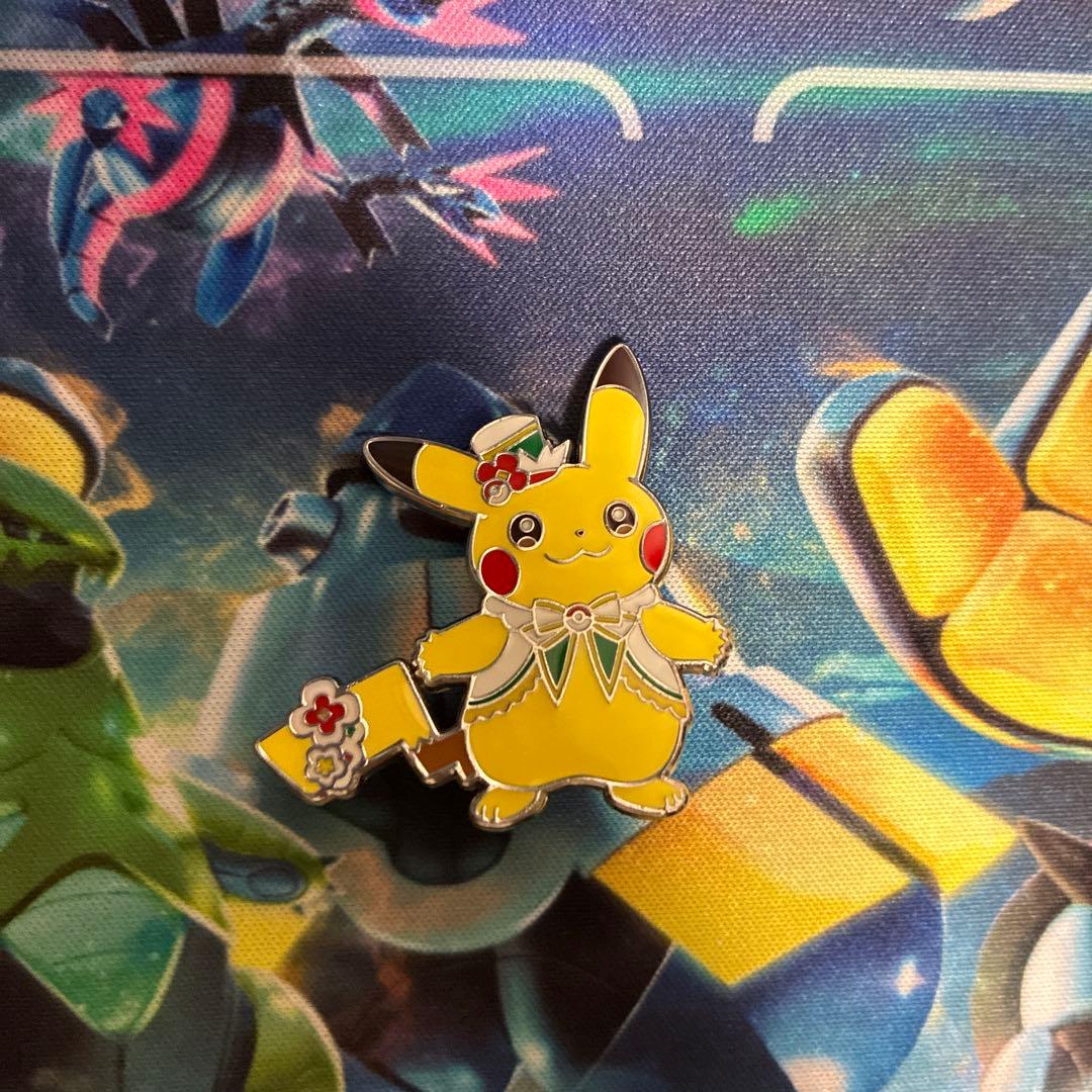 ポケパークカントー　ピンズ　フシギダネ　ヒトカゲ　ゼニガメ　ピカチュウ　イーブイ