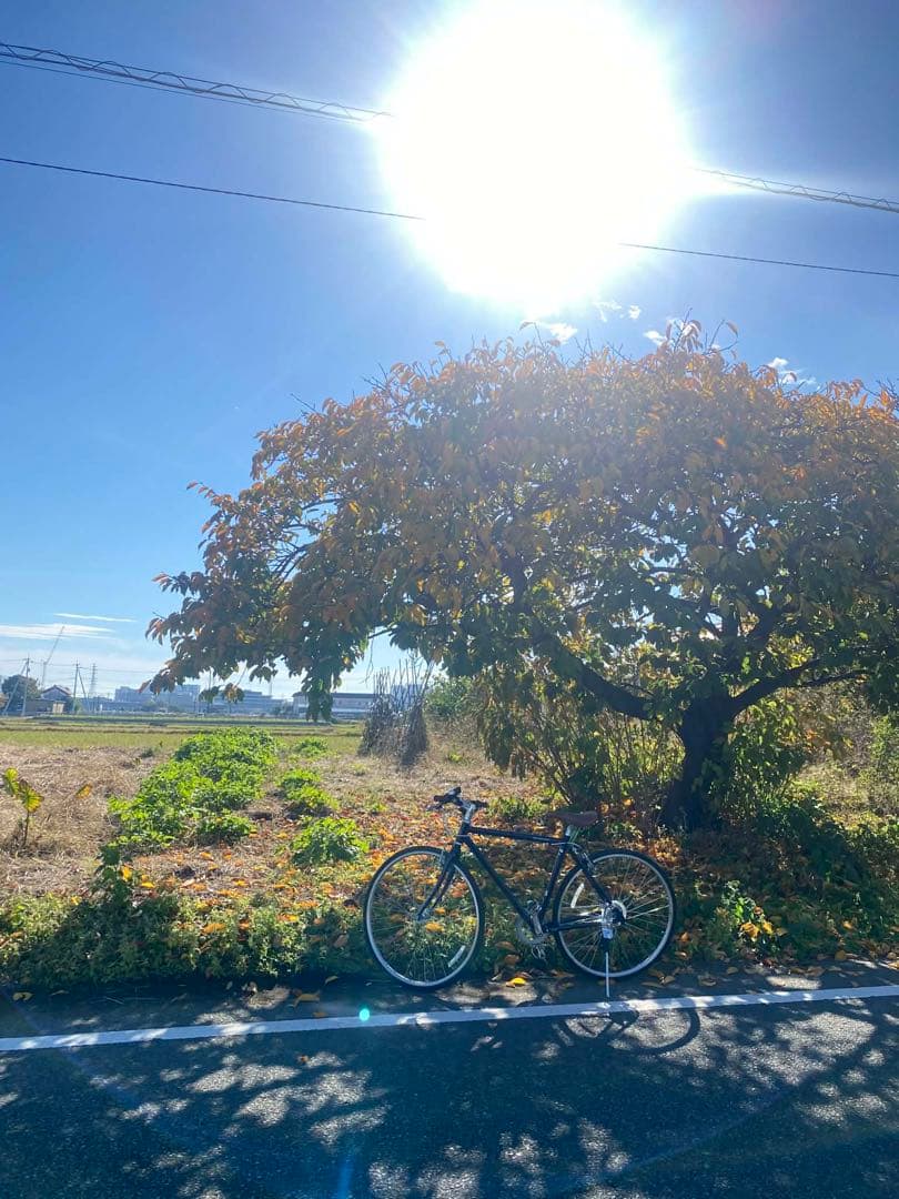 Asahi 自転車