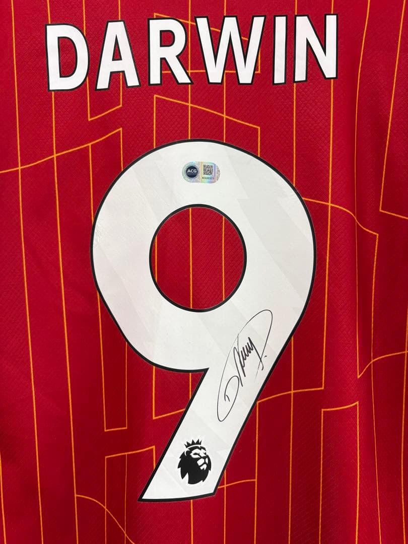リバプールDARWINヌニェス9番 直筆サイン入ユニフォーム【鑑定書/額装付き】