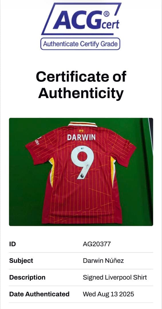 リバプールDARWINヌニェス9番 直筆サイン入ユニフォーム【鑑定書/額装付き】