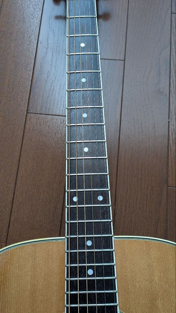 ギター Bluebell F-300
